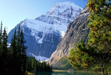 白癜风类型判断方法有哪些依据,白癜风确认方法