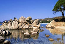 外伤非白癜风病因是什么,外伤型白癜风能治愈吗